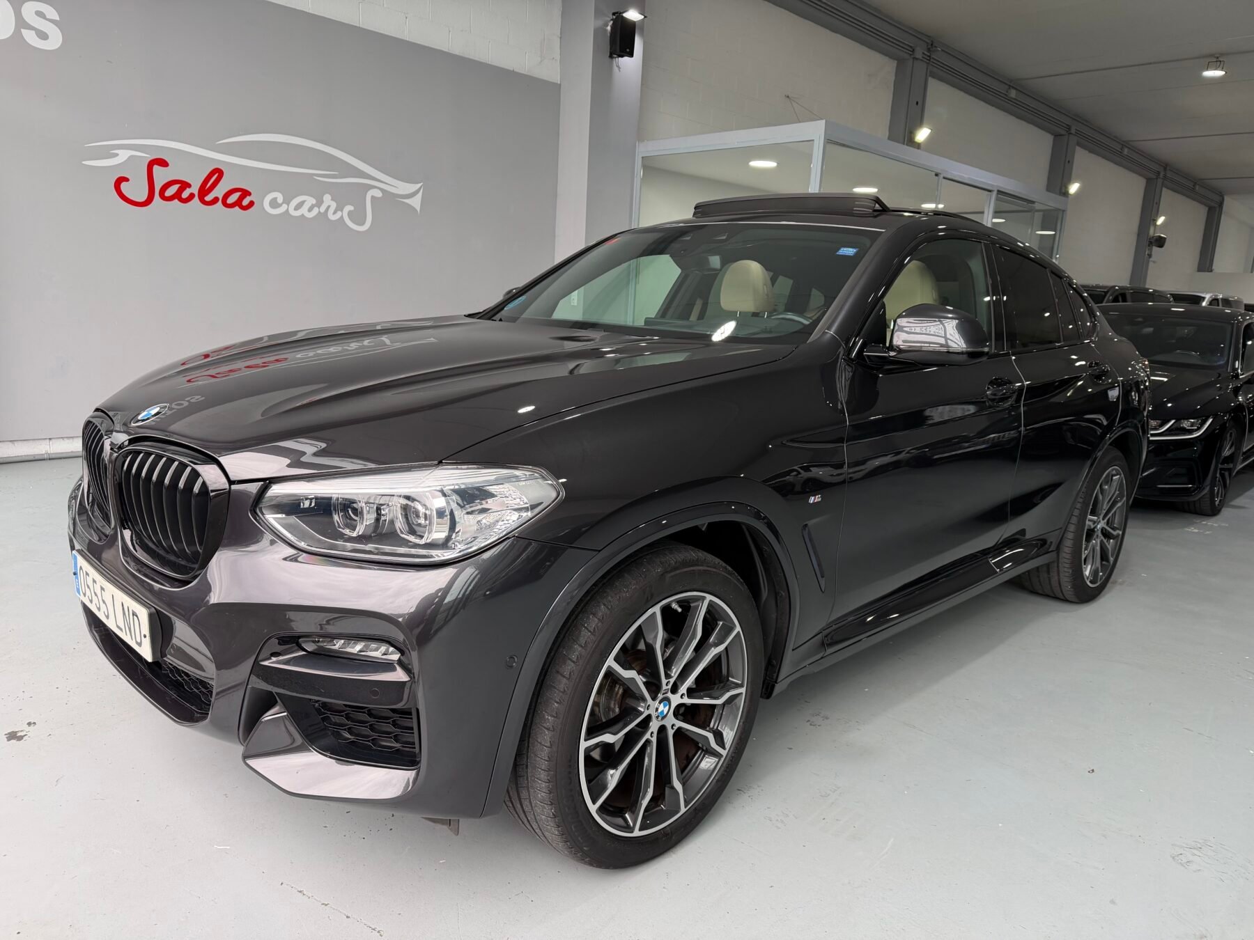 BMW X4 20 xdrive pack M 